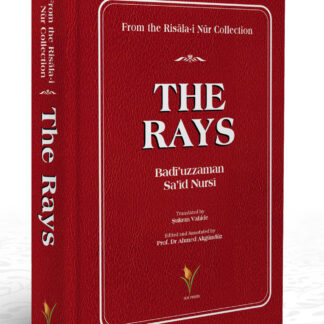 The Rays